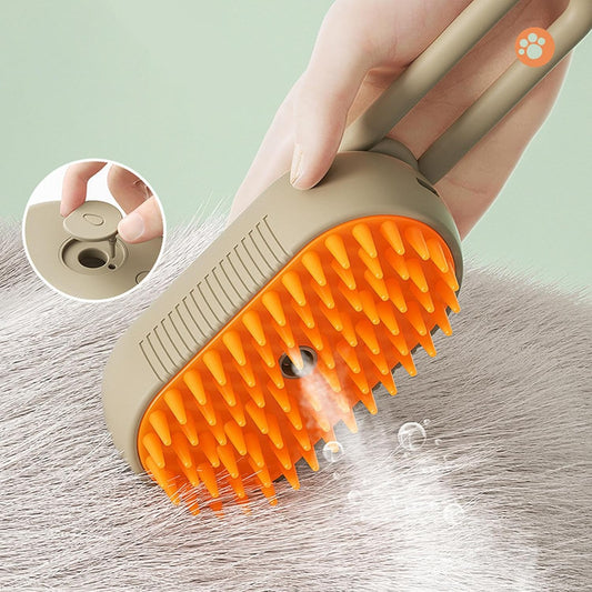 Electric Brush with Spray