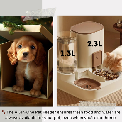 All-in-One Pet Feeder